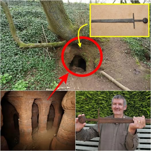 THE KNIGHT’S GATE OF SHROPSHIRE — THE FORGOTTEN SANCTUM BENEATH THE ROOTS